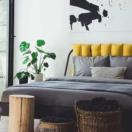 Kino Wilda Apartment